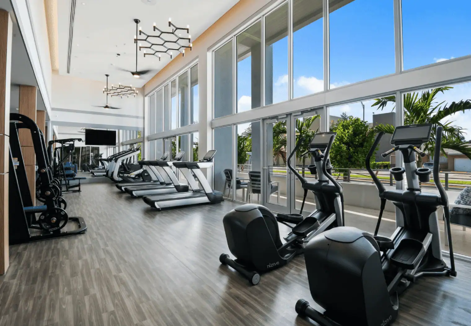 Custom Gym Design & Equipment Layouts That Drive Performance and Safety